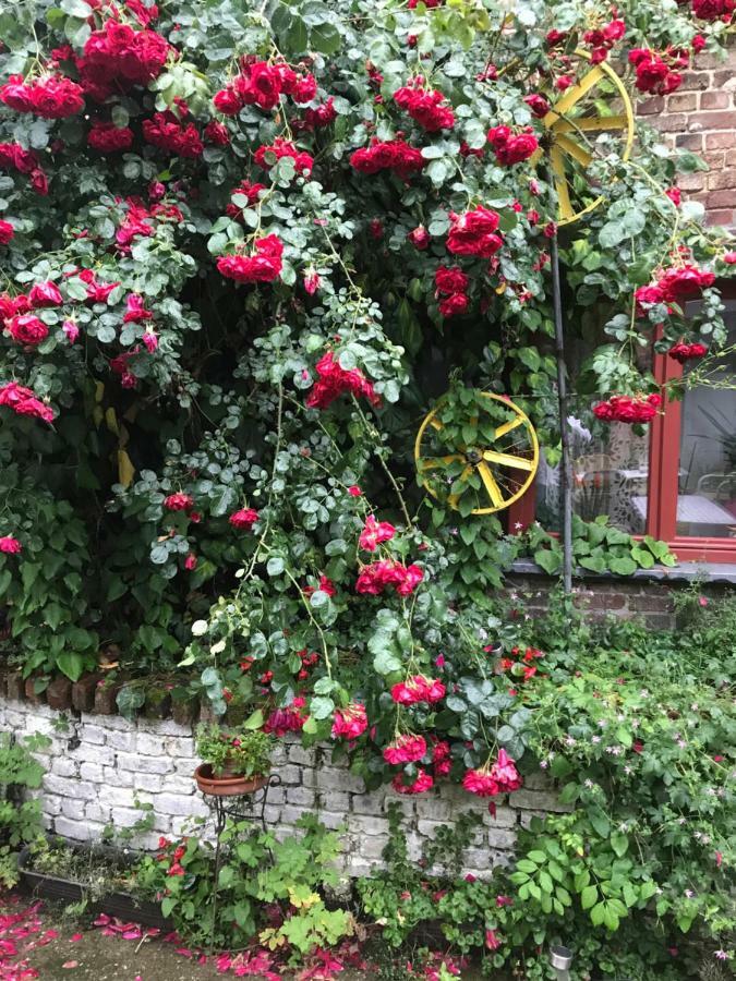 B&B De Henehoeve Heks Exterior photo
